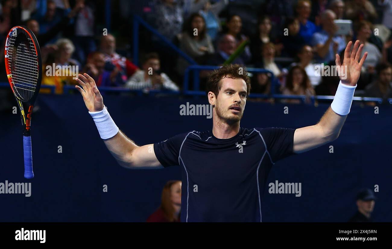 Andy Murray celebrates victory during the singles match against Kei Nishikori on day three of the Davis Cup World Group first round tie at the Barclaycard Arena on March 6, 2016 in Birmingham, England. Stock Photo