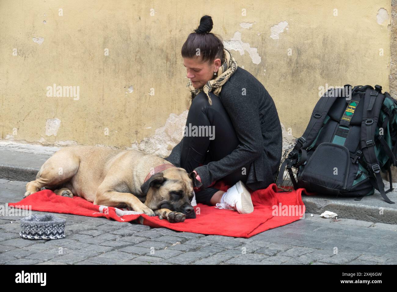 Homeless Woman with Dog Street Panhandler Beggar Stock Photo