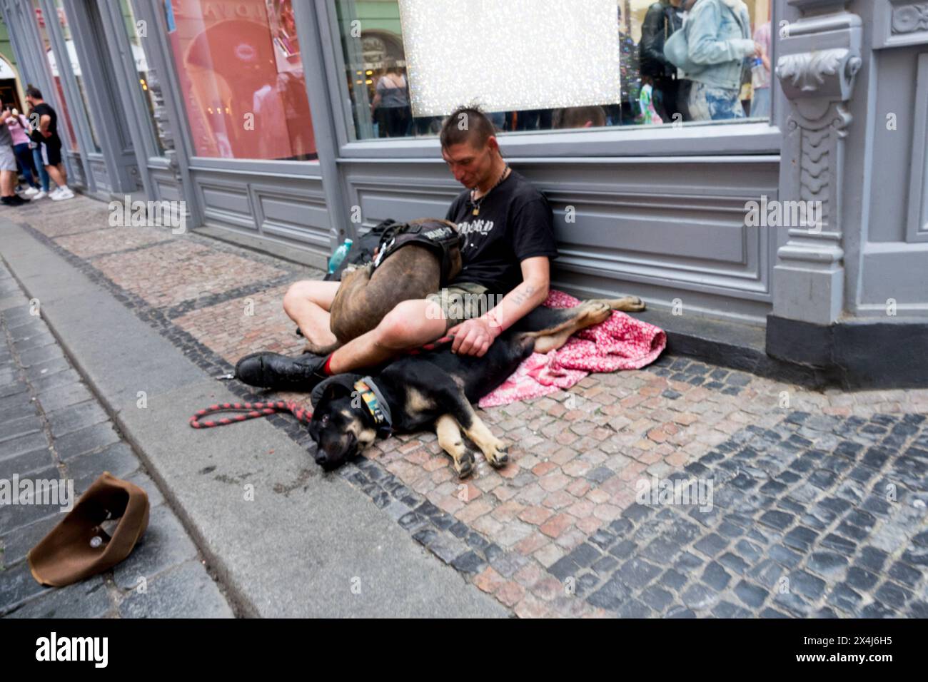 Homeless Man with Dog Panhandler Beggar Street Begging Stock Photo