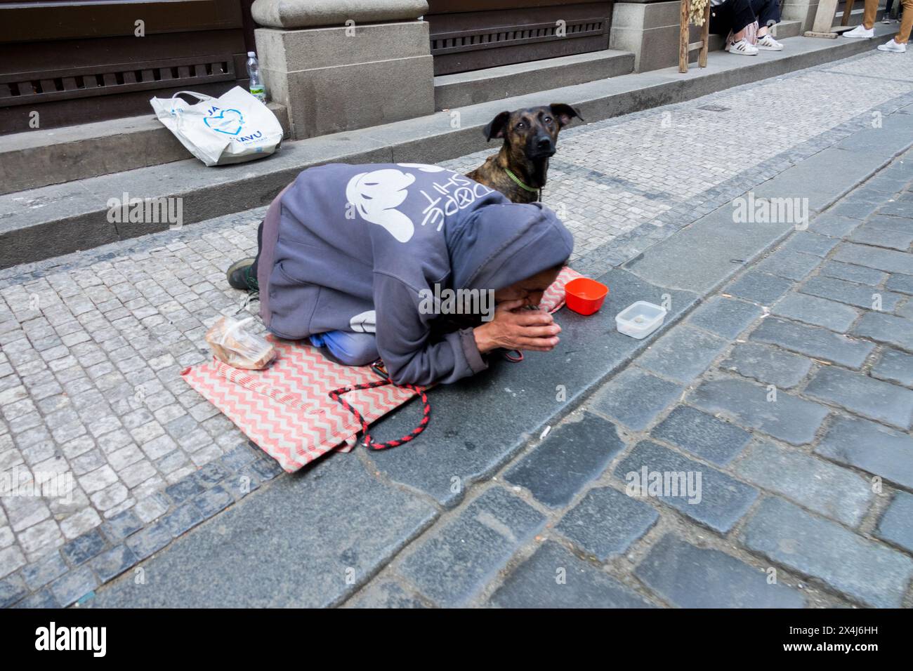 Homeless Man with Dog Panhandler Beggar Street Begging Stock Photo