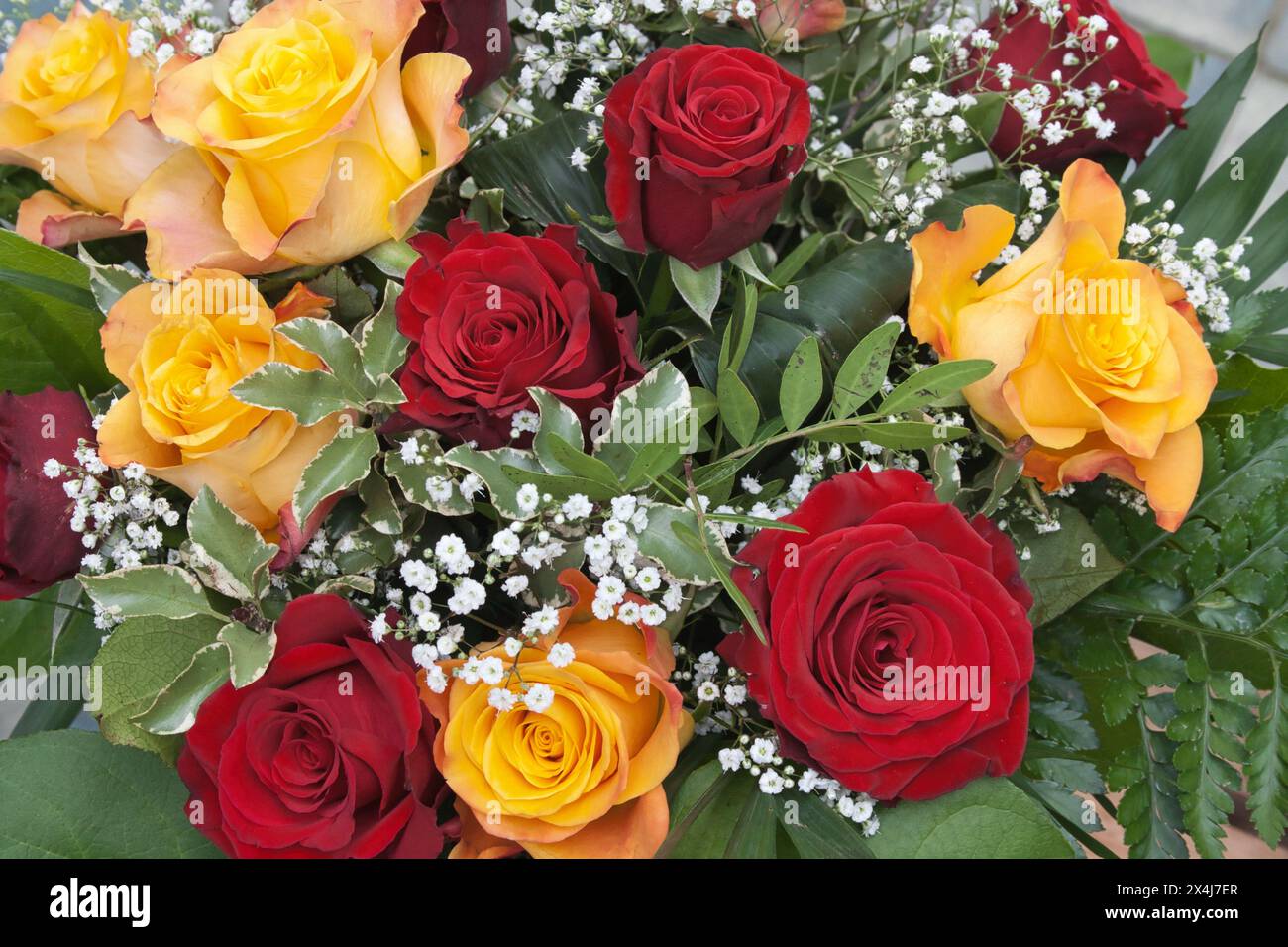 red and yellow roses bunch of flowers floristry gypsophila Stock Photo