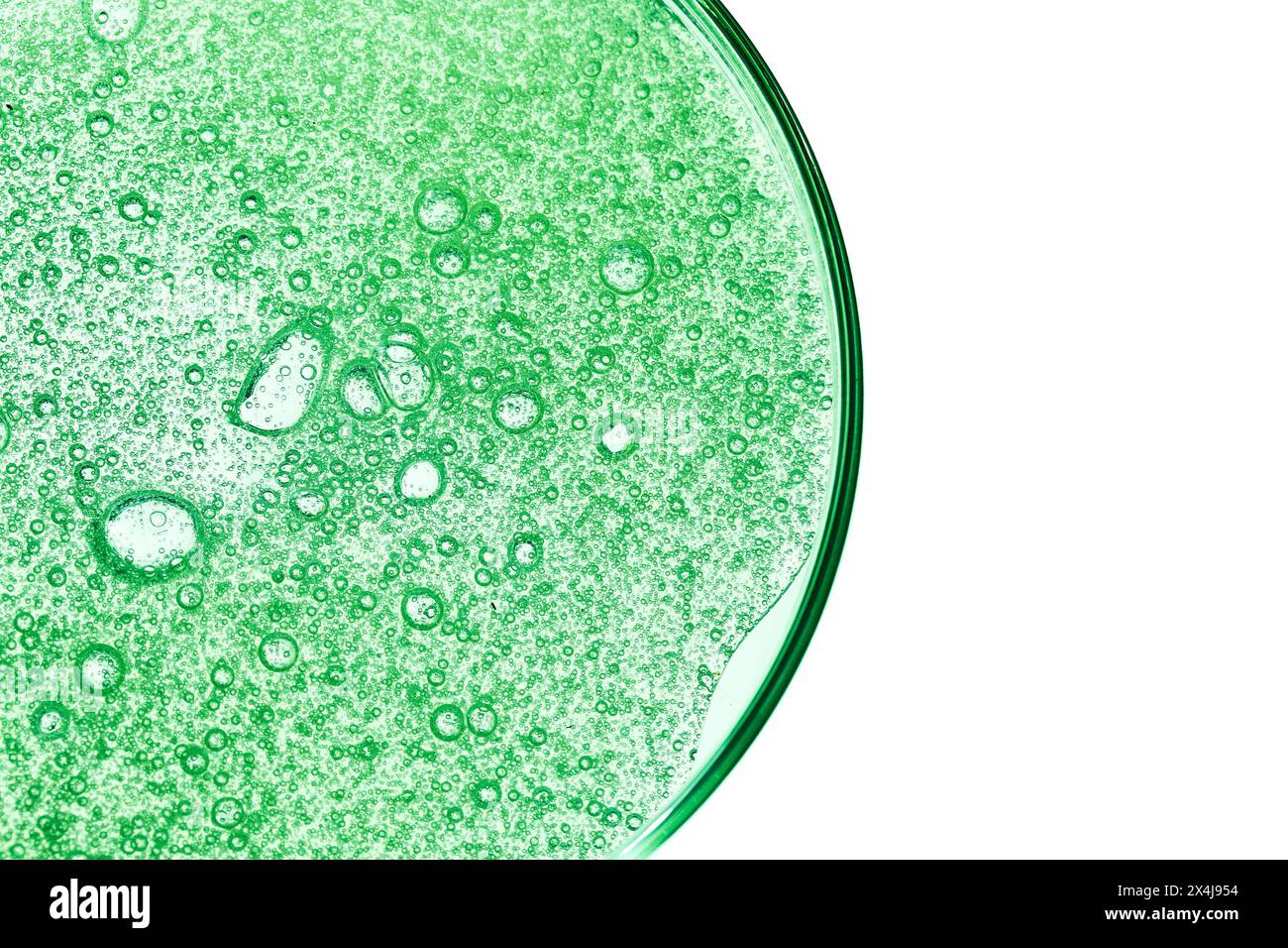 Abstract cosmetic laboratory. A fresh gel on a glass petri. Stock Photo
