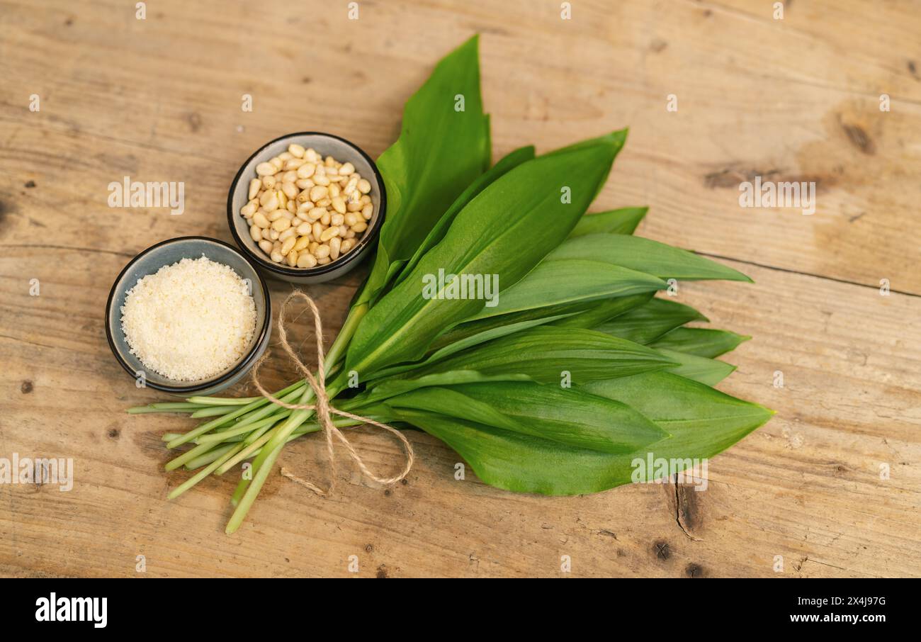 Wild garlic with twine, pine nuts, and grated Parmesan in small bowls on wooden background Stock Photo