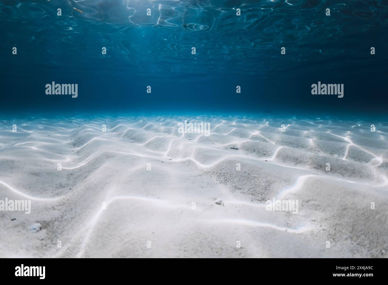 Tropical blue ocean with white sand underwater Stock Photo