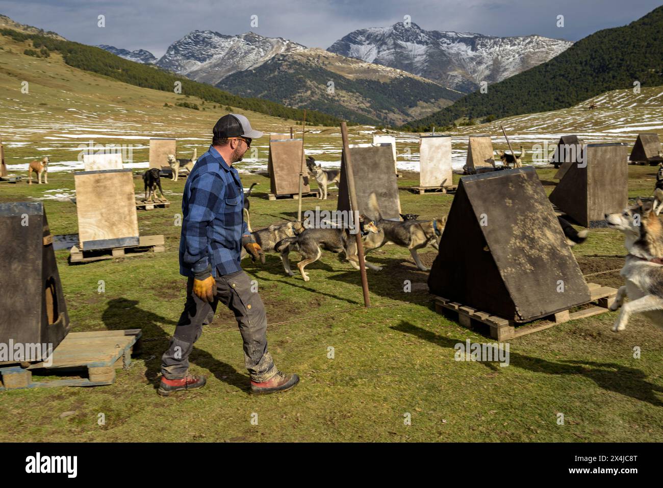 The Montgarri Outdoor team with dogs in the Plan de Beret preparing the sledding and mushing season (Naut Aran, Aran Valley, Lleida, Catalonia, Spain) Stock Photo