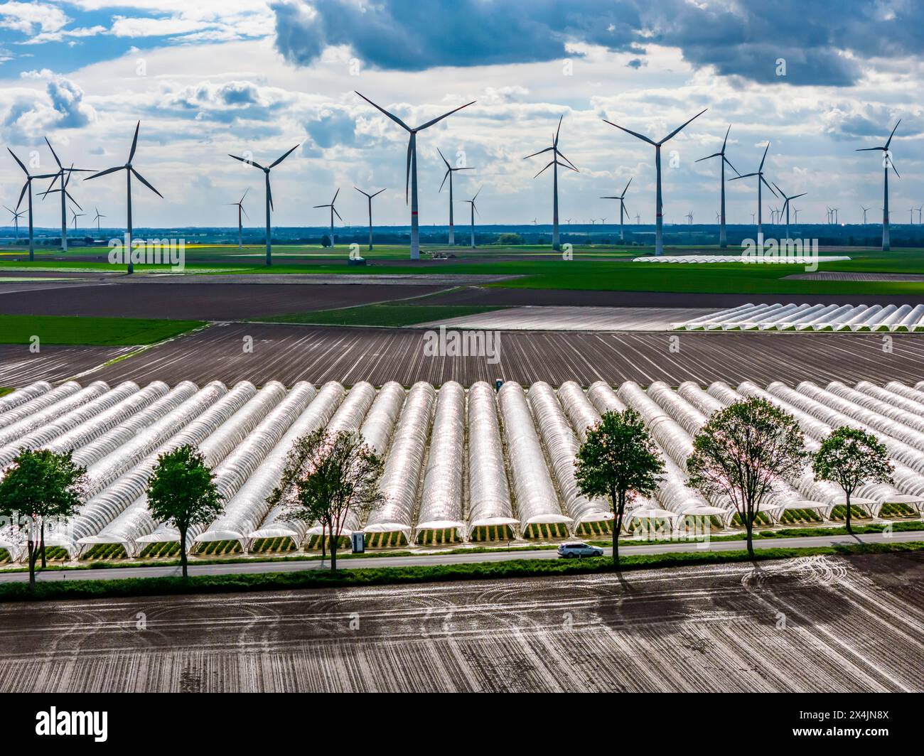 Landwirtschaft, großen Flächen mit Folientunnel, für den Anbau von