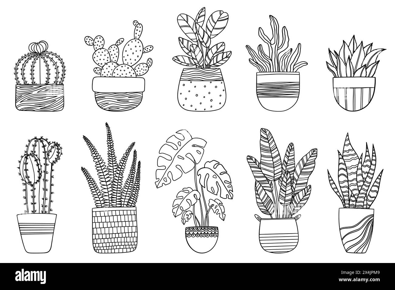 Hand drawn set of house plants in pots, Trendy outline doodle drawing of monstera, succulents, banana palm, cactus. Design element isolated Stock Vector