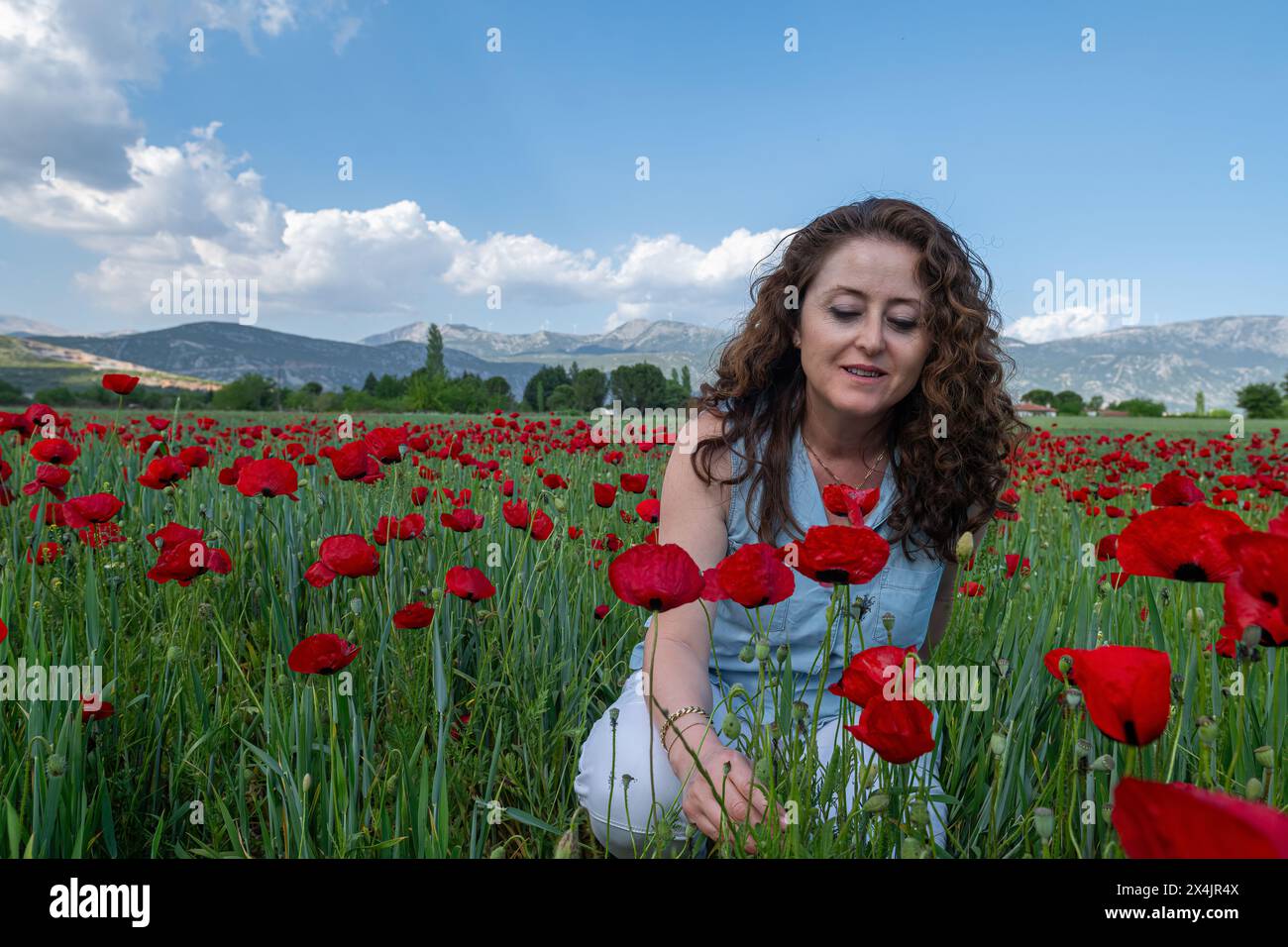 Red coloured flowers. beautiful woman in a field of poppies Stock Photo ...