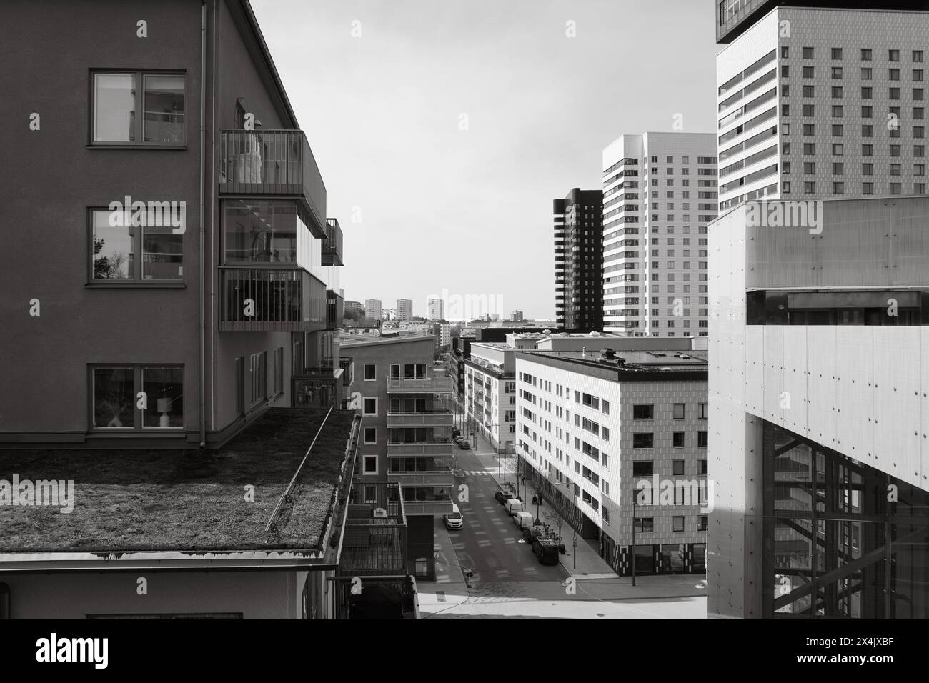 Gallery image with a fresh perspective