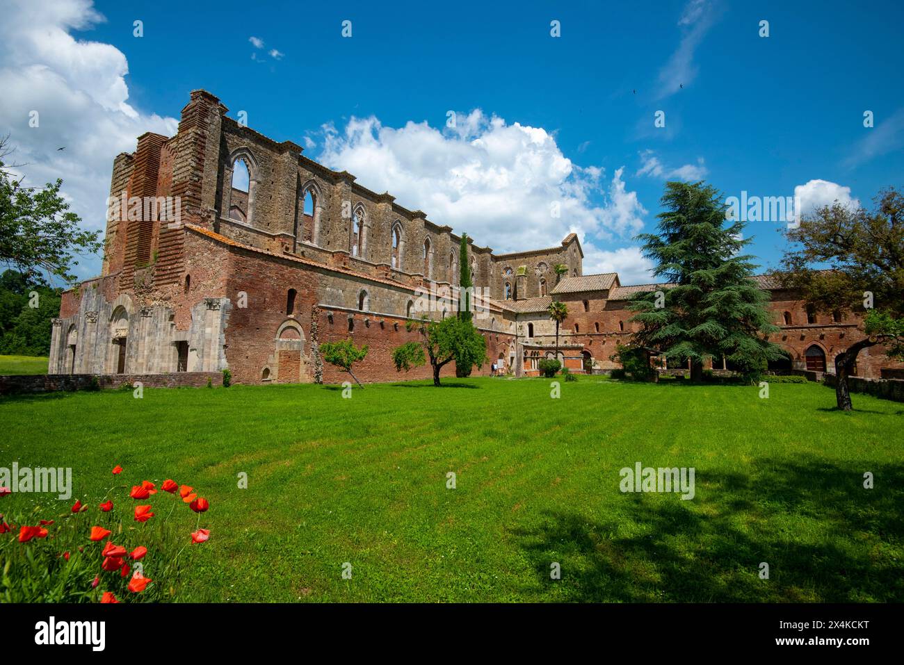 Basilica of Saint Francis - Siena - Italy Stock Photo - Alamy