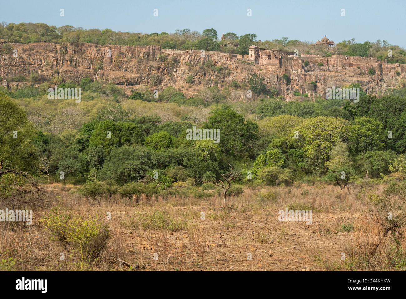 Ranthambore palace hi-res stock photography and images - Alamy