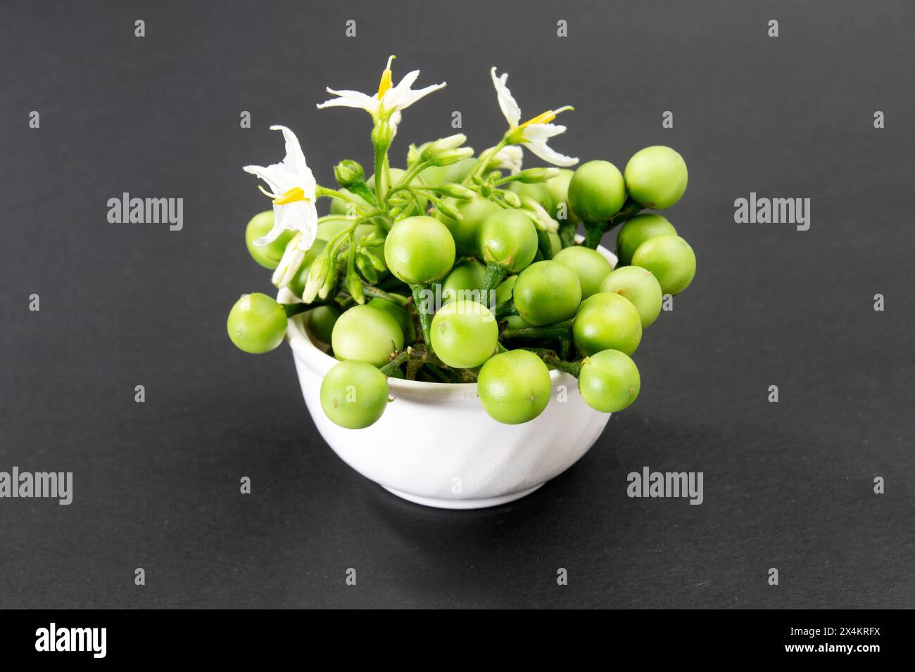 Green tiny Wild Eggplant eggplant on black background. Solanum paniculatum. Turkey Berry. Stock Photo