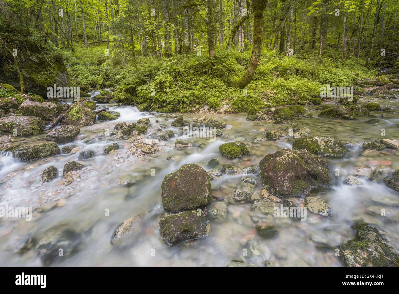 Beautiful view of Rothbach Waterfall near Konigssee lake in Berchtesgaden National Park, Upper Bavarian Alps, Germany, Europe. Beauty of nature concep Stock Photo