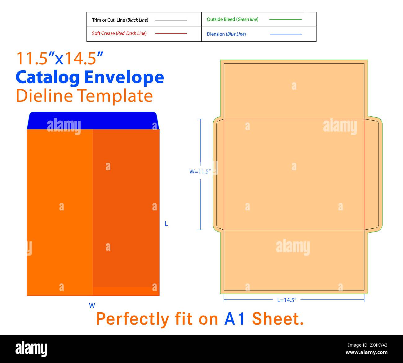 Catalogue Envelope W 11.5, L 14.5 Inches Die line Template. Catalogue