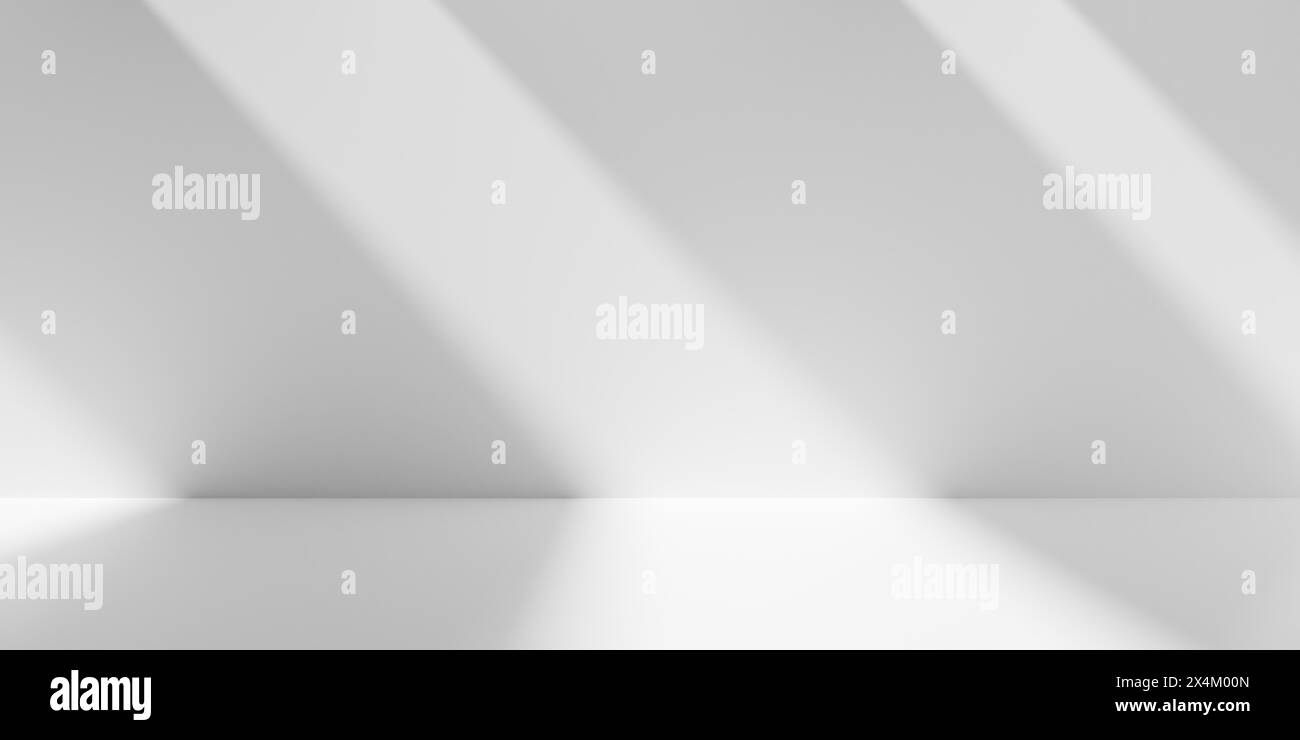 Empty white interior room wall with sunlight shadow stripes, modern ...