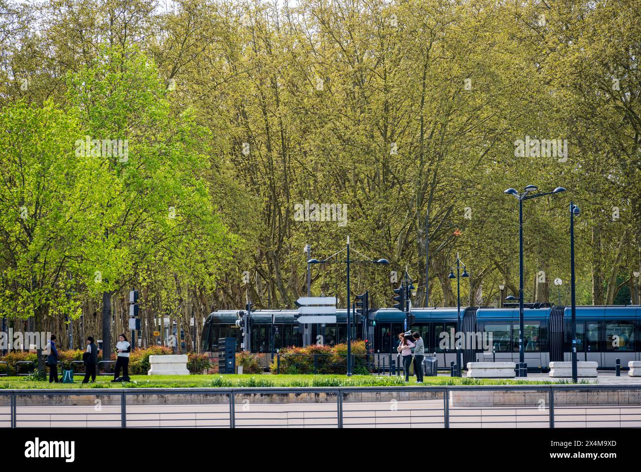 Bordeaux, France--April 4, 2024. A telephoto image of a tram running through the Place des Quinconces in the heart of the city of Bordeaux. Stock Photo