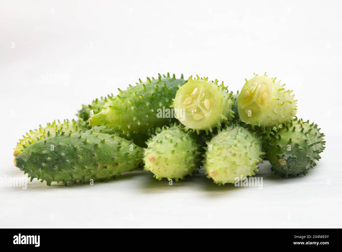 Bur Gourd, dib poj ntxoog, Pahadi Karela. grows in hill area. Chakma Traditional Foods. wild cucumbers. Mountain food. Stock Photo