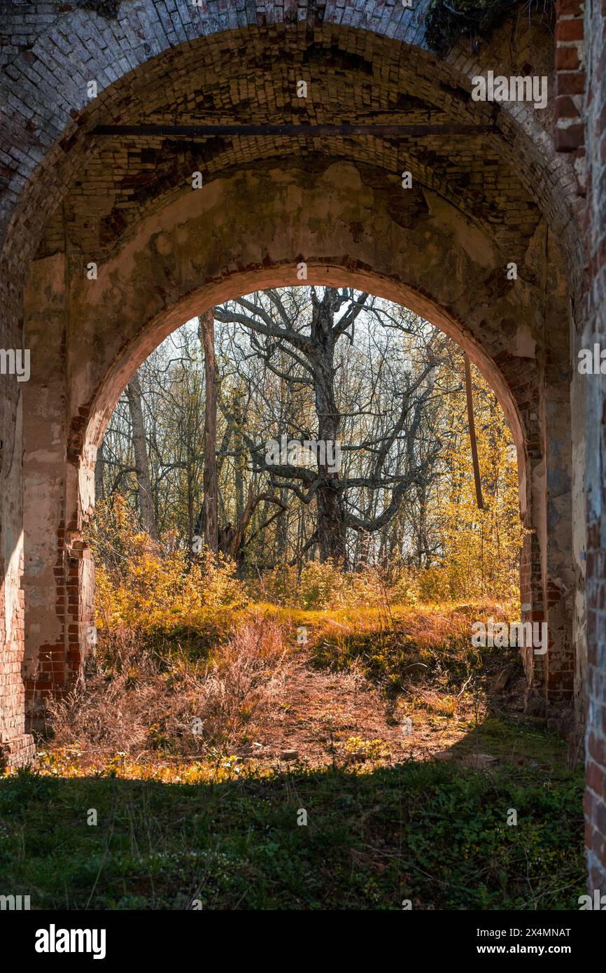 A brick arch in an abandoned, old building. View of the forest across the brick river. High quality photo Stock Photo