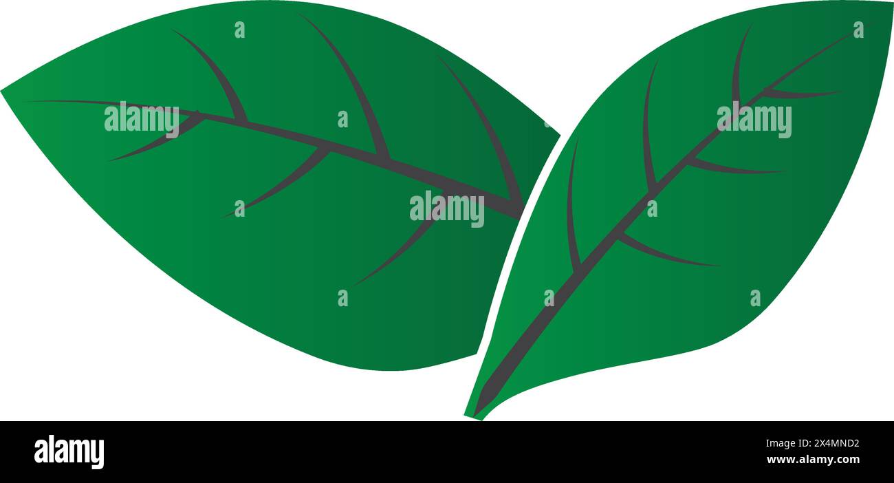 leaf icon vector illustration template design Stock Vector Image & Art ...