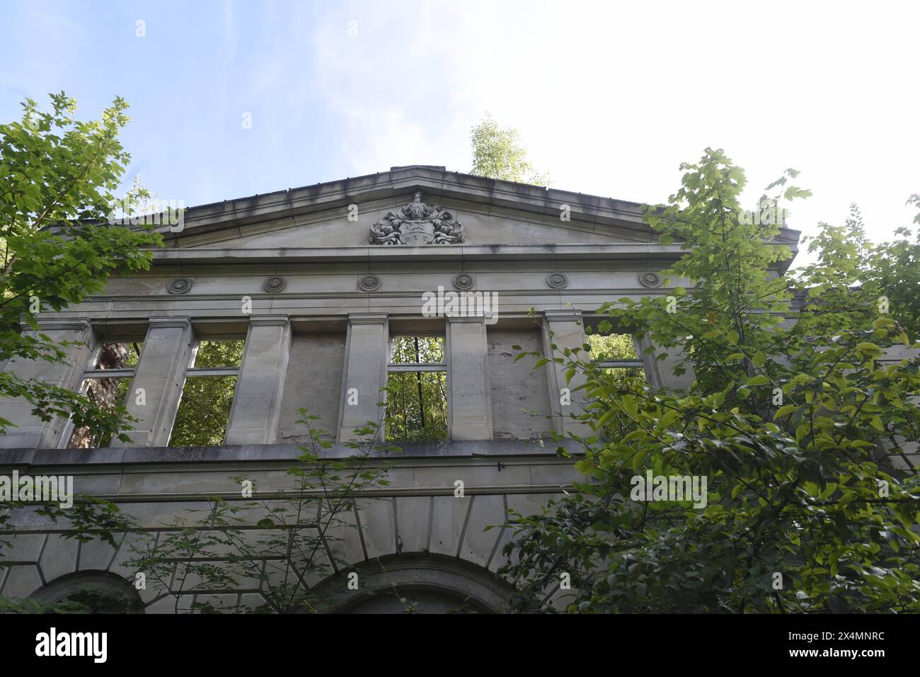 Das Schloss Dwasieden ist heute nur noch eine Ruine. Es wurde in den Jahren 1873 bis 1877 im Auftrag von Adolph von Hansemann, einer der reichtsten Männer der Bismarckzeit erbaut. Von dem Prachtbau bestehen aufgrund der Sprengung im Jahr 1948 durch die Russn nur noch Reste des Gebäudes sowie der 1997 ausgebrannte Marsstall. Gert von Oertzen, der Enkel und Erbe Hannemanns, verkaufte das Schloss in den 1930er Jahren an die Stadt Sassnitz, von der es 1935 die Kriegsmarine übernahm und zu einem Teil ihrer Schiffsartillerieschule Entfernungsmeßschule machte. *** Dwasieden Castle is now just a ruin Stock Photo