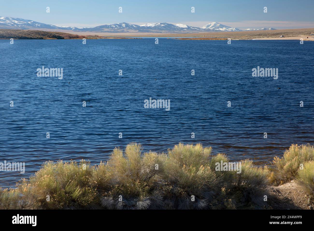 Comins Lake, Steptoe Valley Wildlife Management Area, Nevada Stock Photo