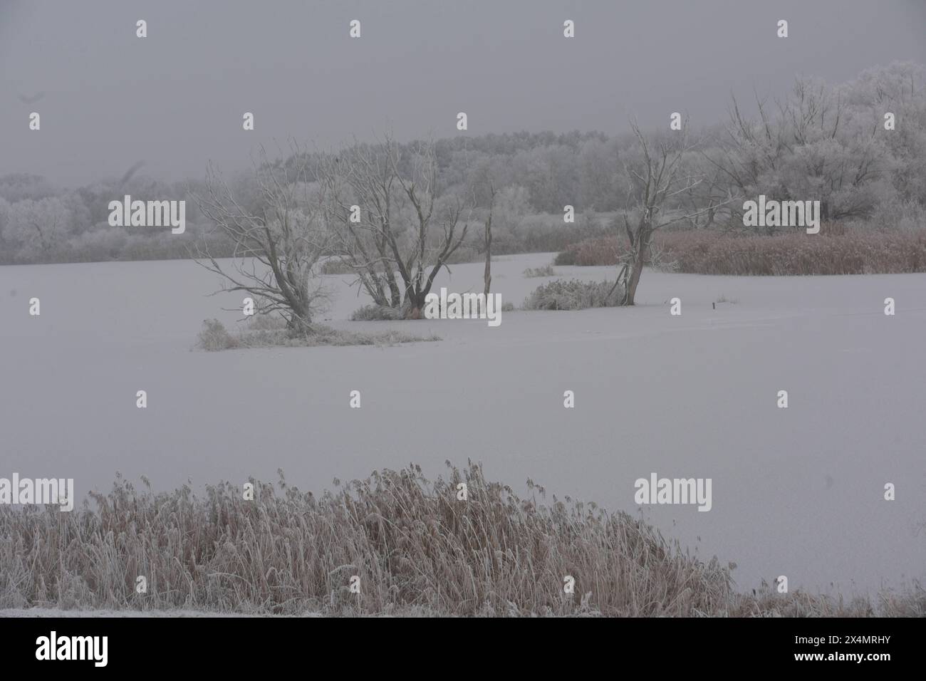 Gartow in see hires stock photography and images Alamy