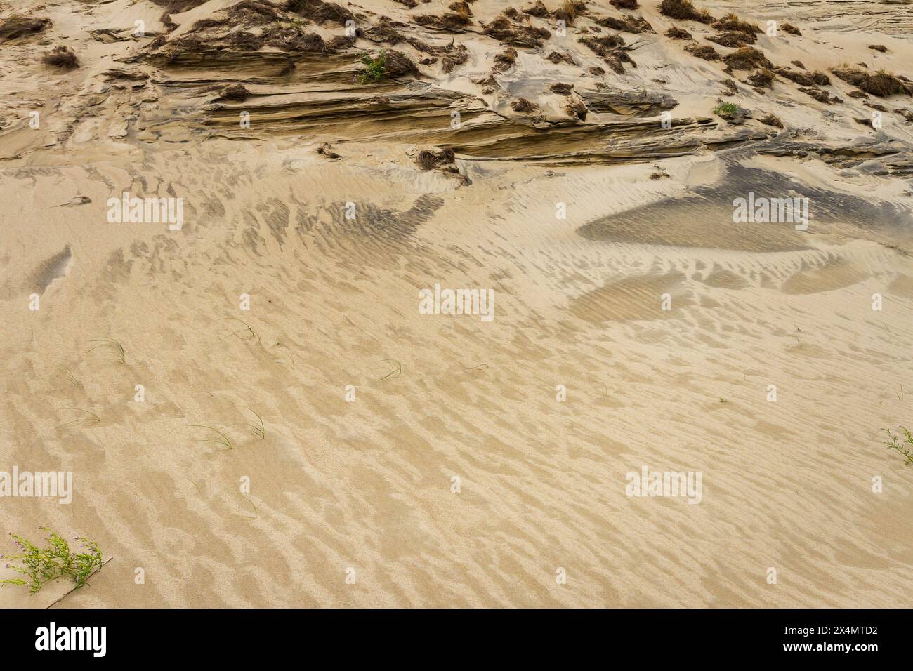 Close up of beach sand texture background Stock Photo - Alamy