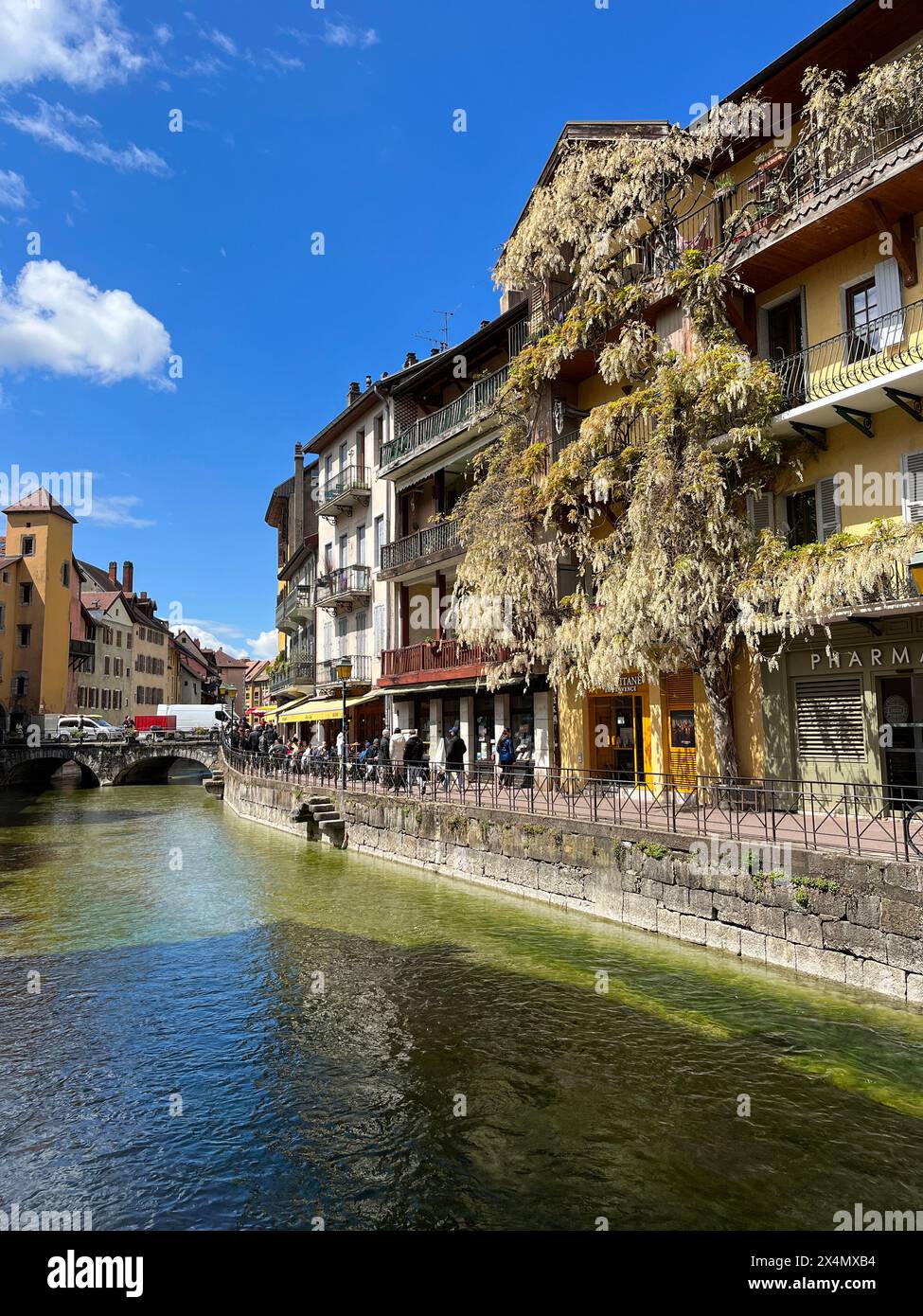 Annecy, Haute-Savoie, France: giant white wisteria on a building in the old town, skyline with crystal clear waters of one of the Thiou River canals Stock Photo
