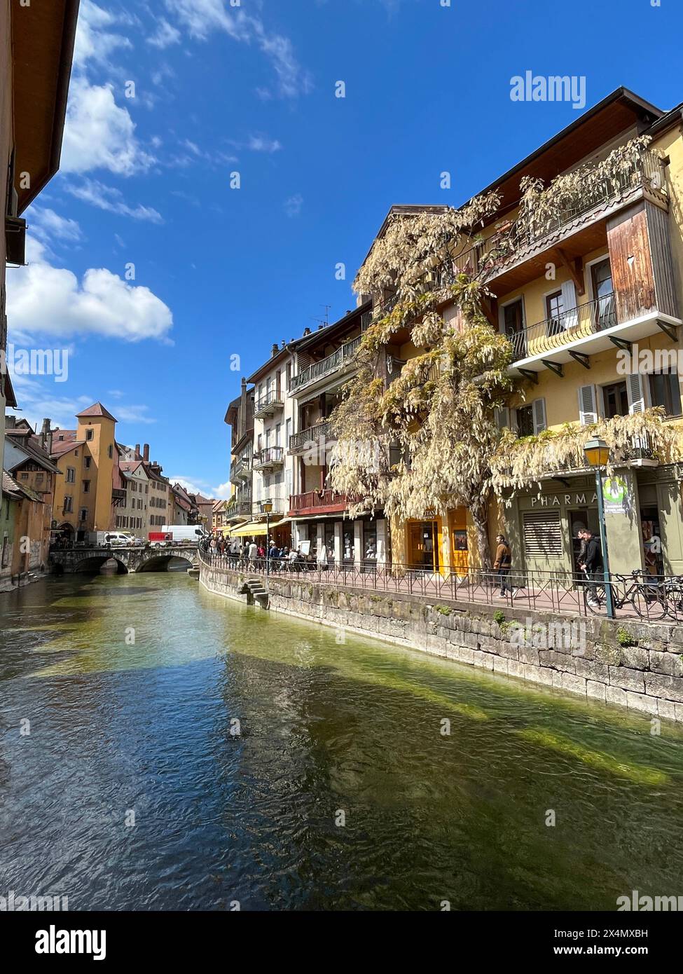 Annecy, Haute-Savoie, France: giant white wisteria on a building in the old town, skyline with crystal clear waters of one of the Thiou River canals Stock Photo