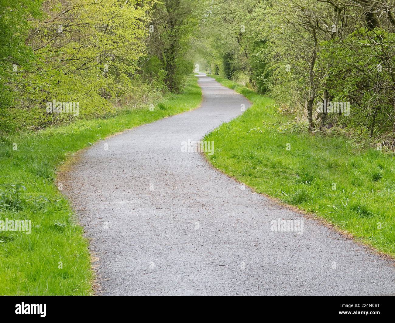 Cycle and walk path in countryside built on old railway line Stock ...
