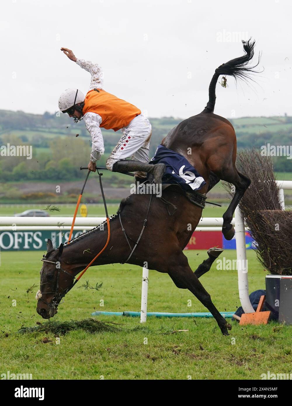 Jockey Daniel King is unseated by Donacheady Gale during the Palmerstown House Estate Pat Taaffe Handicap Chase during day five of the Punchestown Festival at Punchestown Racecourse, County Kildare. Picture date: Saturday May 4, 2024. Stock Photo