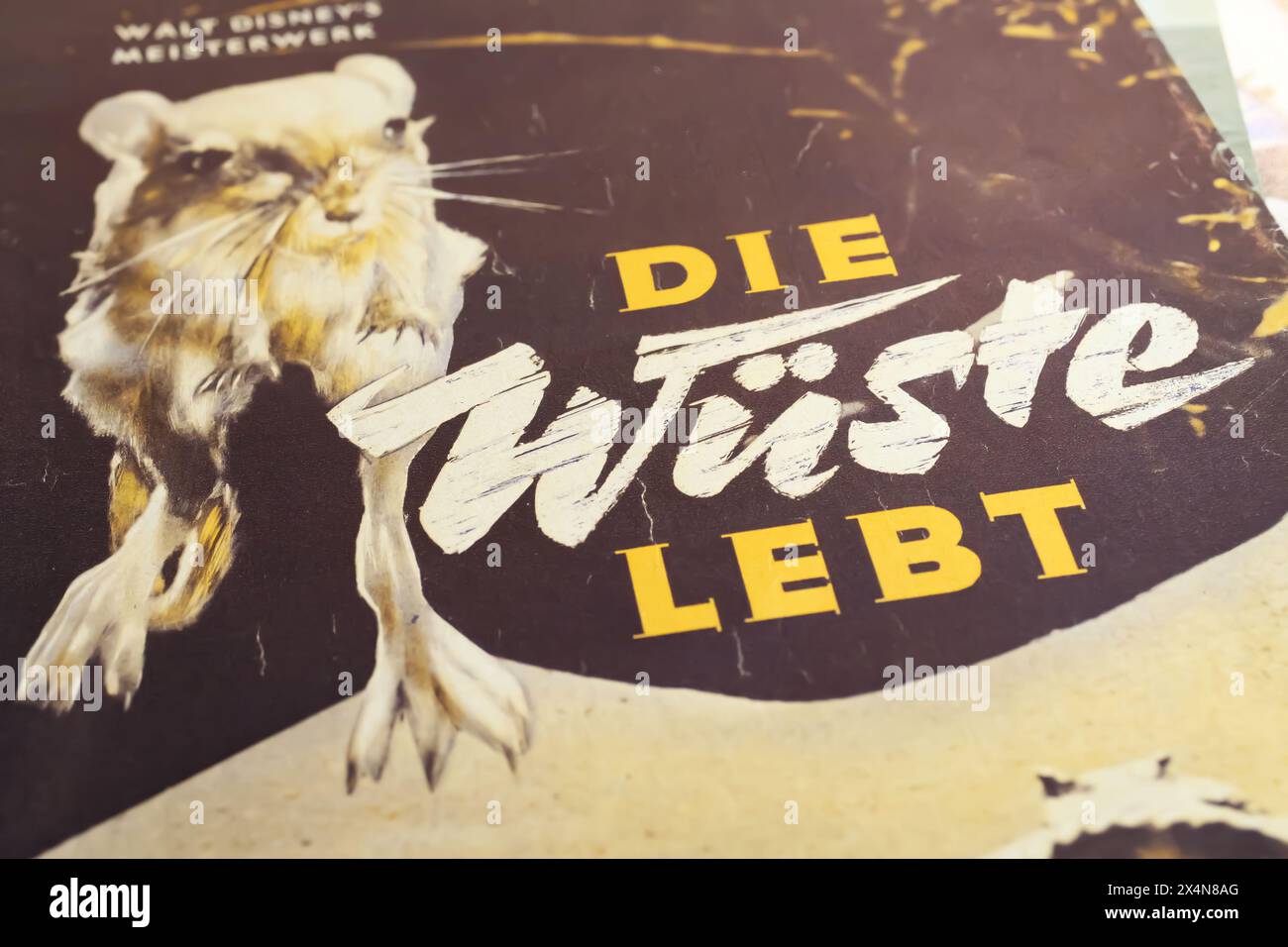 Viersen, Germany - May 1. 2024: Closeup of booklet cover wildlife documentary movie The living desert from 1953, german issue (focus on center) Stock Photo