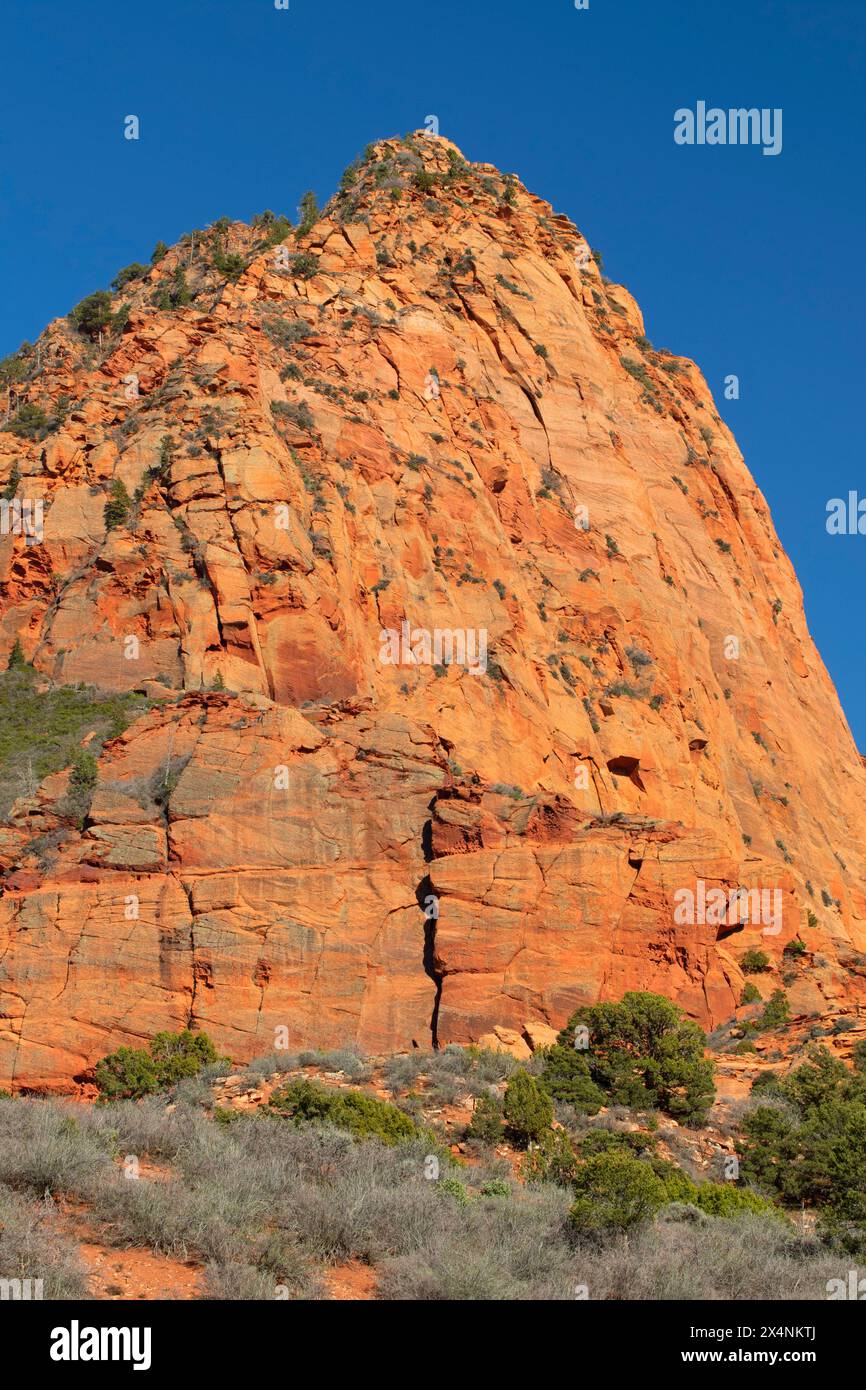 Beatty Point ridge, Zion National Park, Utah Stock Photo Alamy
