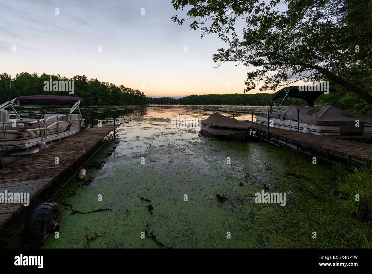 Looking out onto a northern Wisconsin lake in the evening with two pontoon boats moored for the evening. Stock Photo