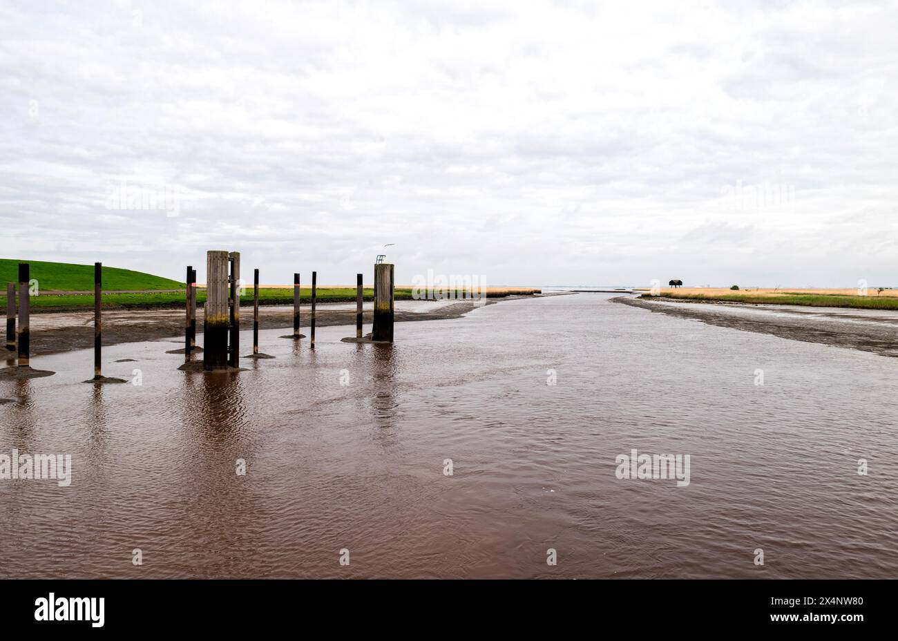 View from the lock Nieuwe StatenzijlRIchtung Dollart, to the right of the estuary birdwatching hut De Kiekkaaste, municipality Oldambt, Dollart, Dolla Stock Photo