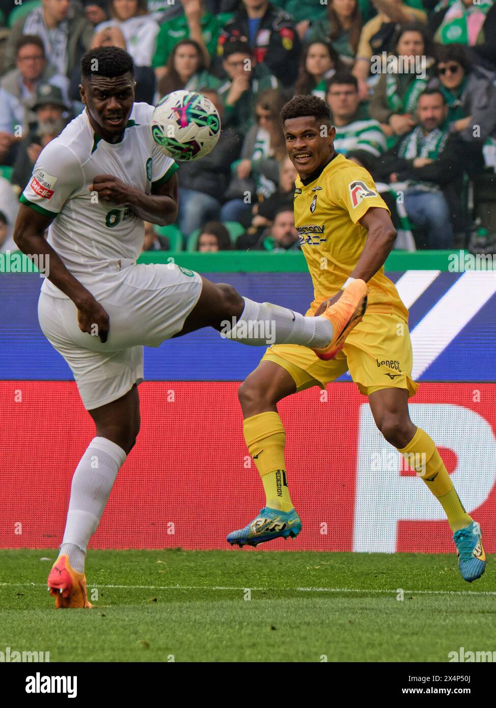 Lisbon, Portugal. 04th May, 2024. Lisbon, Portugal, May 04 2024: Ousmane Diomande (26 Sporting CP) and Helio Varela (77 Portimonense SC) in action during the Liga Portugal game between Sporting CP and Portimonense SC at Estadio Jose Alvalade in Lisbon, Portugal. (Pedro Porru/SPP) Credit: SPP Sport Press Photo. /Alamy Live News Stock Photo