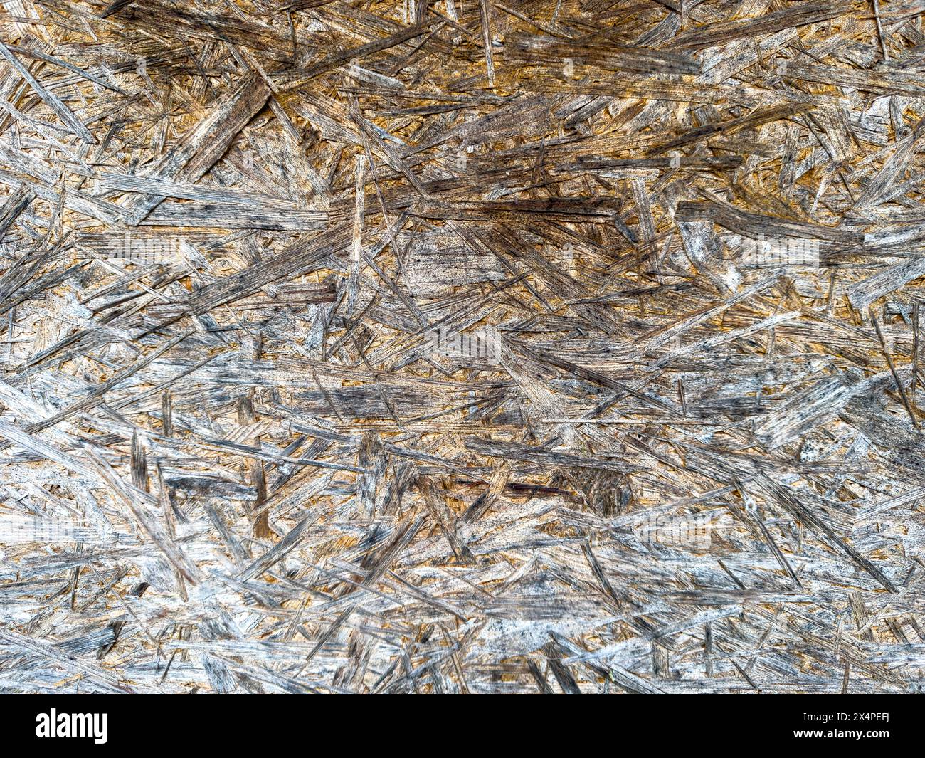 texture of wooden wall background Stock Photo