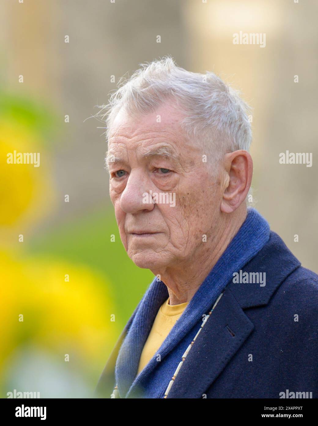 Sir Ian McKellen visiting Windsor Castle on the day Prince Philip died.  Sir Ian was playing Hamlet at the Theatre Royal Windsor 2021. Stock Photo