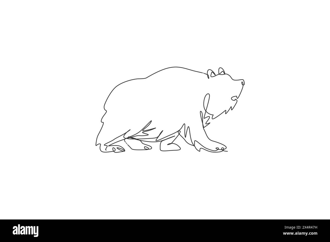 One single line drawing of big grizzly bear vector illustration. Protected species national park conservation. Safari zoo concept. Modern continuous l Stock Vector