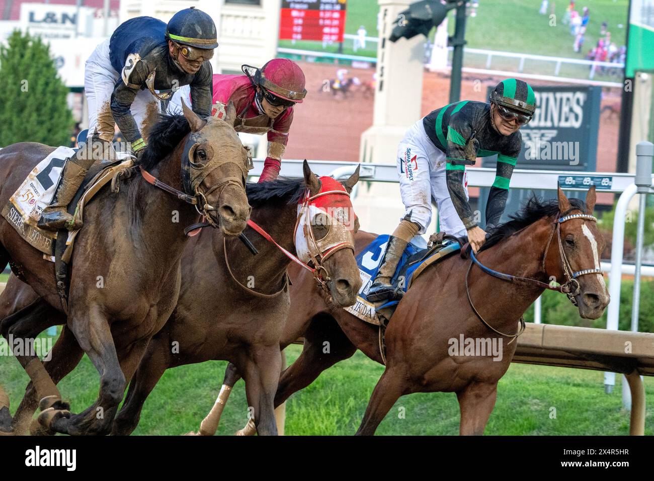 Louisville, United States. 04th May, 2024. Mystik Dan (R), ridden by Brian Hernandez, Jr, relaxes after passing the finish line to wins the 150th Kentucky Derby at Churchill Downs in Louisville, Kentucky on Saturday, May 4, 2024. Sierra Leone (L) came in second and Forever Young (C) was third. Photo by Pat Benic/UPI Credit: UPI/Alamy Live News Stock Photo