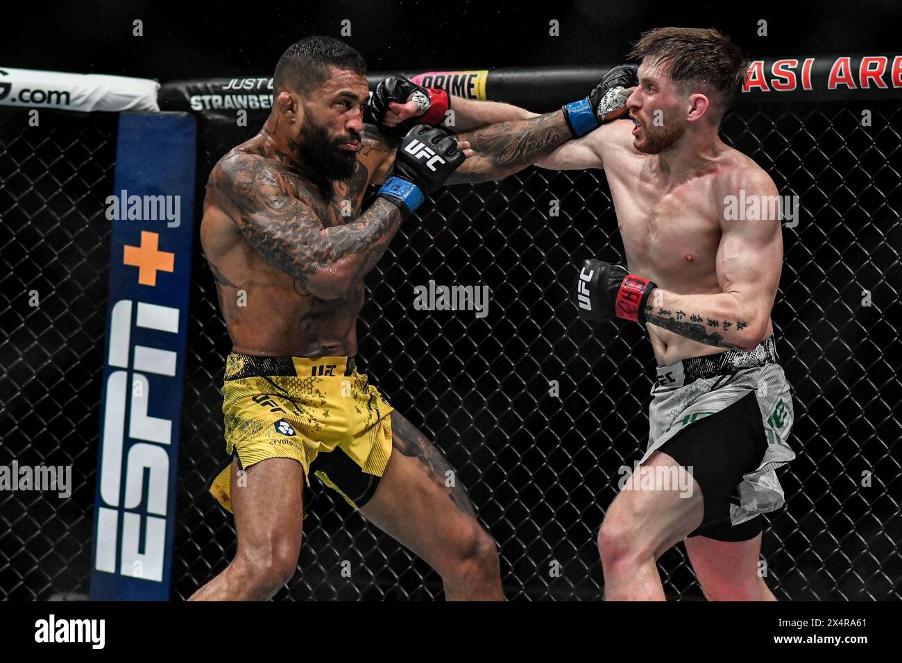 Rio De Janeiro, Brazil. 04th May, 2024. RJ - RIO DE JANEIRO - 05/04/2024 - UFC 301 - Fighter Jack Shore with gloves in red detail and fighter Joanderson Brito with gloves in blue detail during a fight in the Featherweight category on the UFC 301 Preliminary Card, held at Farmasi Arena this Saturday (04). Photo: Thiago Ribeiro/AGIF Credit: AGIF/Alamy Live News Stock Photo