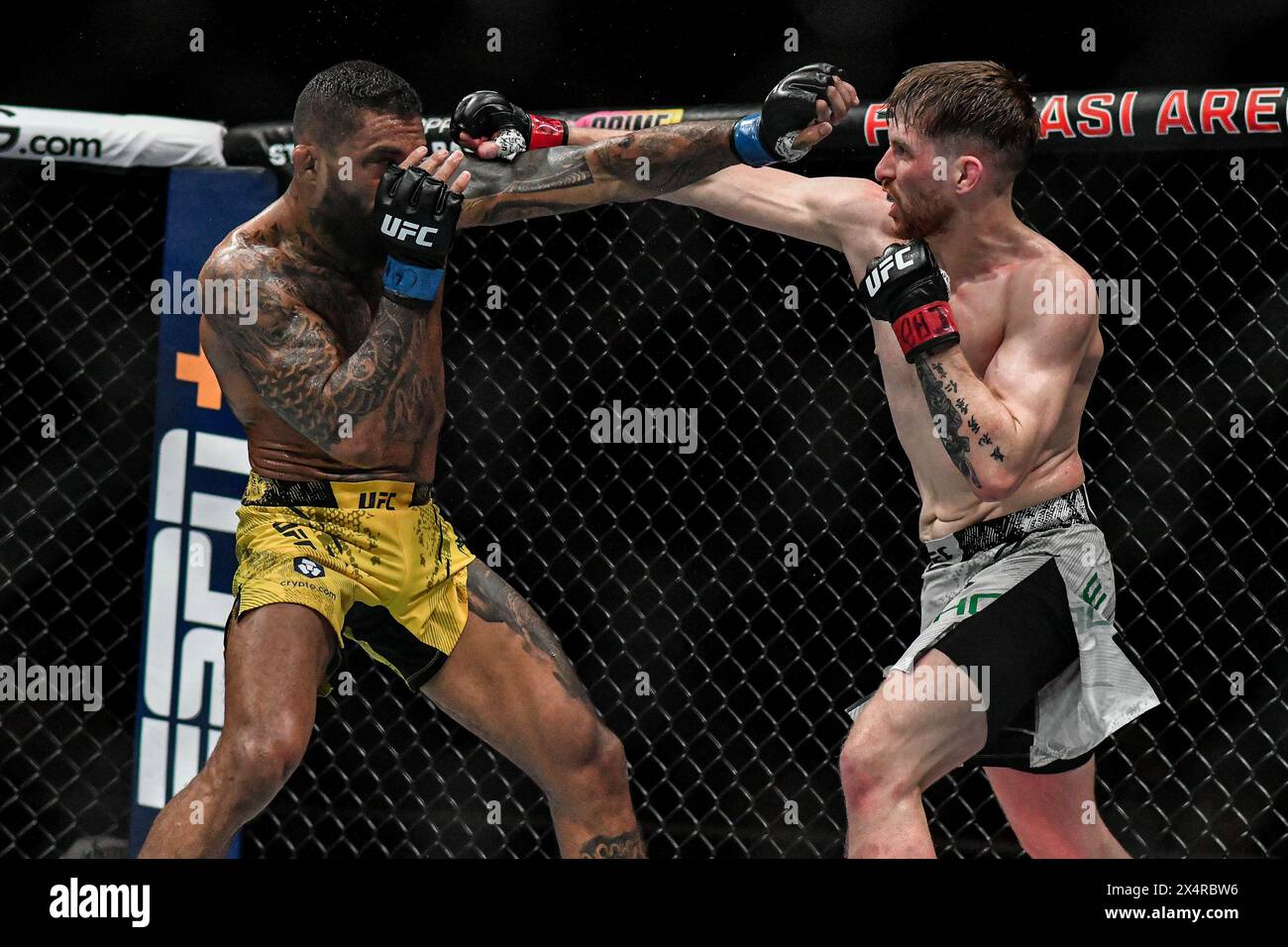 Rio De Janeiro, Brazil. 04th May, 2024. RJ - RIO DE JANEIRO - 05/04/2024 - UFC 301 - Fighter Jack Shore with gloves in red detail and fighter Joanderson Brito with gloves in blue detail during a fight in the Featherweight category on the UFC 301 Preliminary Card, held at Farmasi Arena this Saturday (04). Photo: Thiago Ribeiro/AGIF (Photo by Thiago Ribeiro/AGIF/Sipa USA) Credit: Sipa USA/Alamy Live News Stock Photo