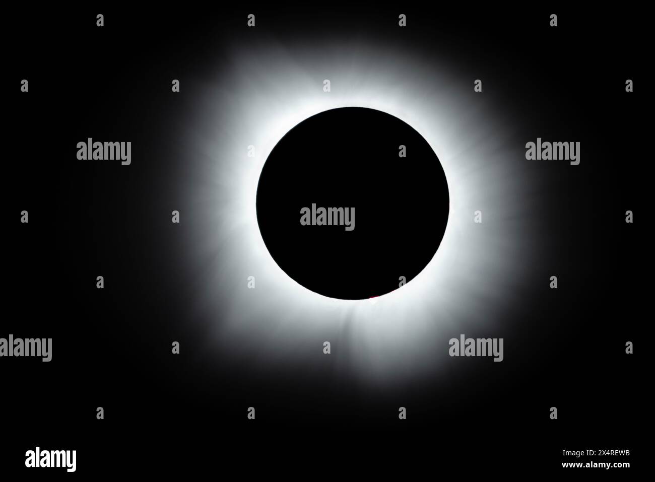 Totality phase during the total solar eclipse of 2024 from Texas, USA Stock Photo