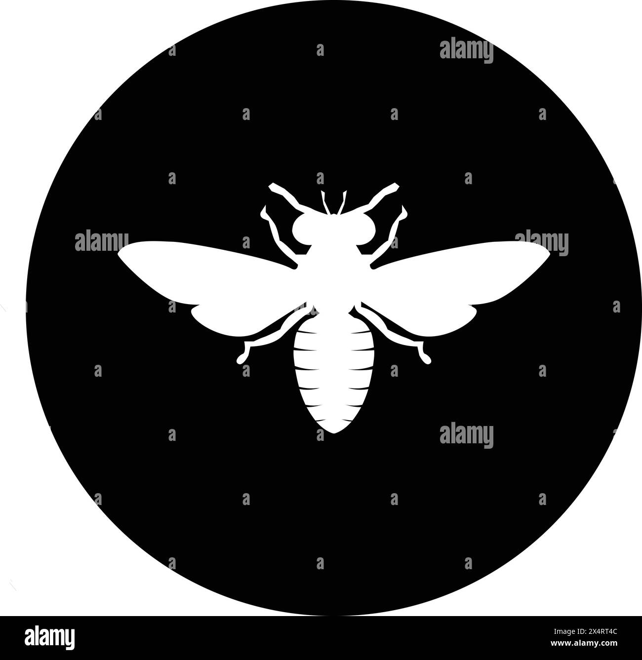 Wasp outline hires stock photography and images Alamy