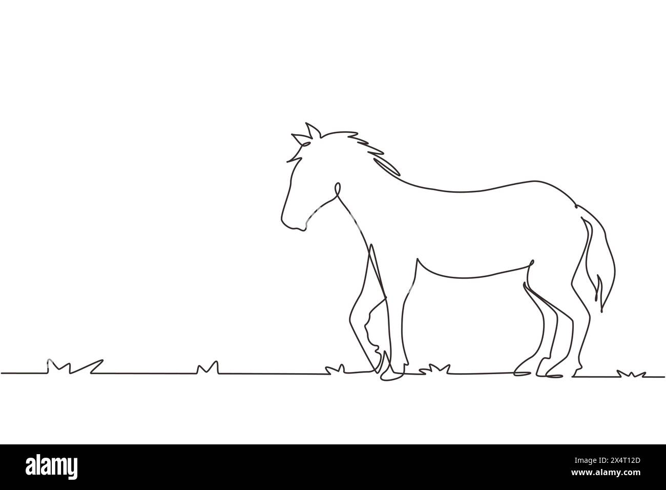Continuous one line drawing proud white horse walks gracefully with strong character. Wild mustang gallops in free nature. Animal mascot for ranch. Si Stock Vector