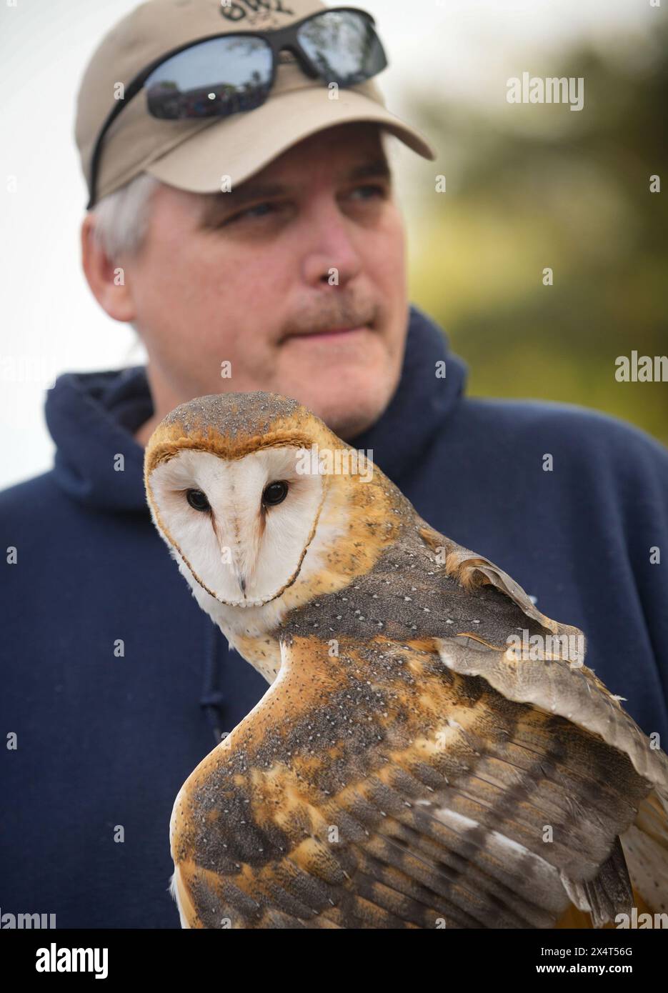 Delta, Canada. 4th May, 2024. A staff member holds a barn owl in his arm during an open house event at the Orphaned Wildlife (OWL) raptor rehabilitation center in Delta, British Columbia, Canada, on May 4, 2024. The two-day open house event held on May 4 and 5 offered opportunities to the general public to visit the facility and learn about the conservation work done for wild birds, thereby increasing public awareness of raptors, their habitat, and the environmental impact on people. Credit: Liang Sen/Xinhua/Alamy Live News Stock Photo