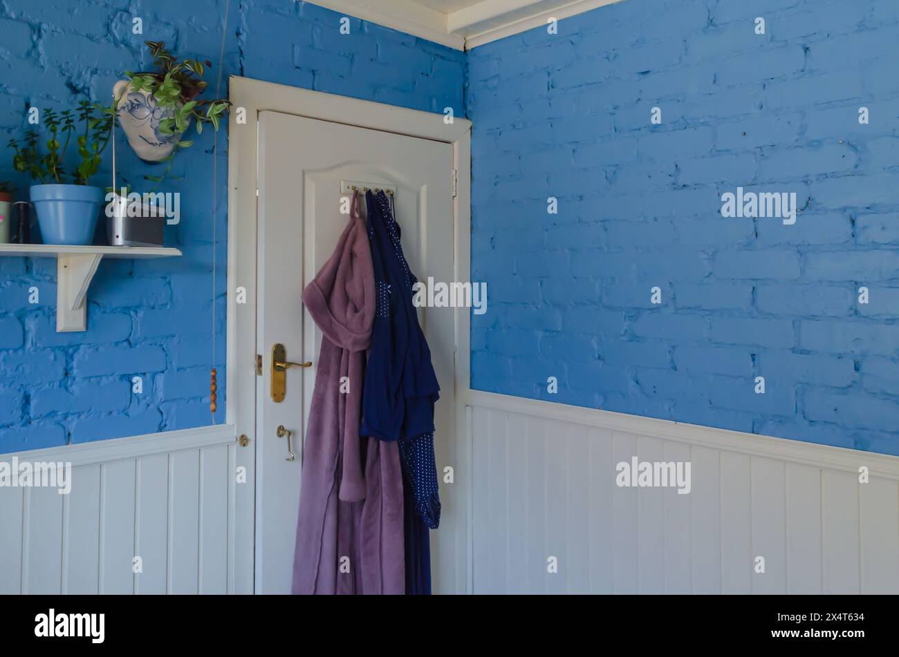 Bathroom door with hooded bathrobe and pyjamas and wooden shelf on a blue wall and plants Stock Photo