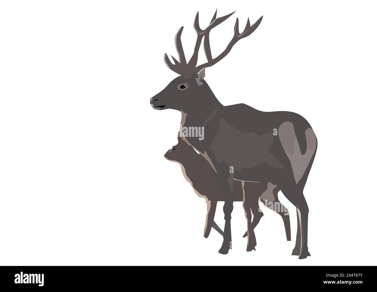 Doe silhouette Cut Out Stock Images \u0026 Pictures - Alamy, image size:1300x1009