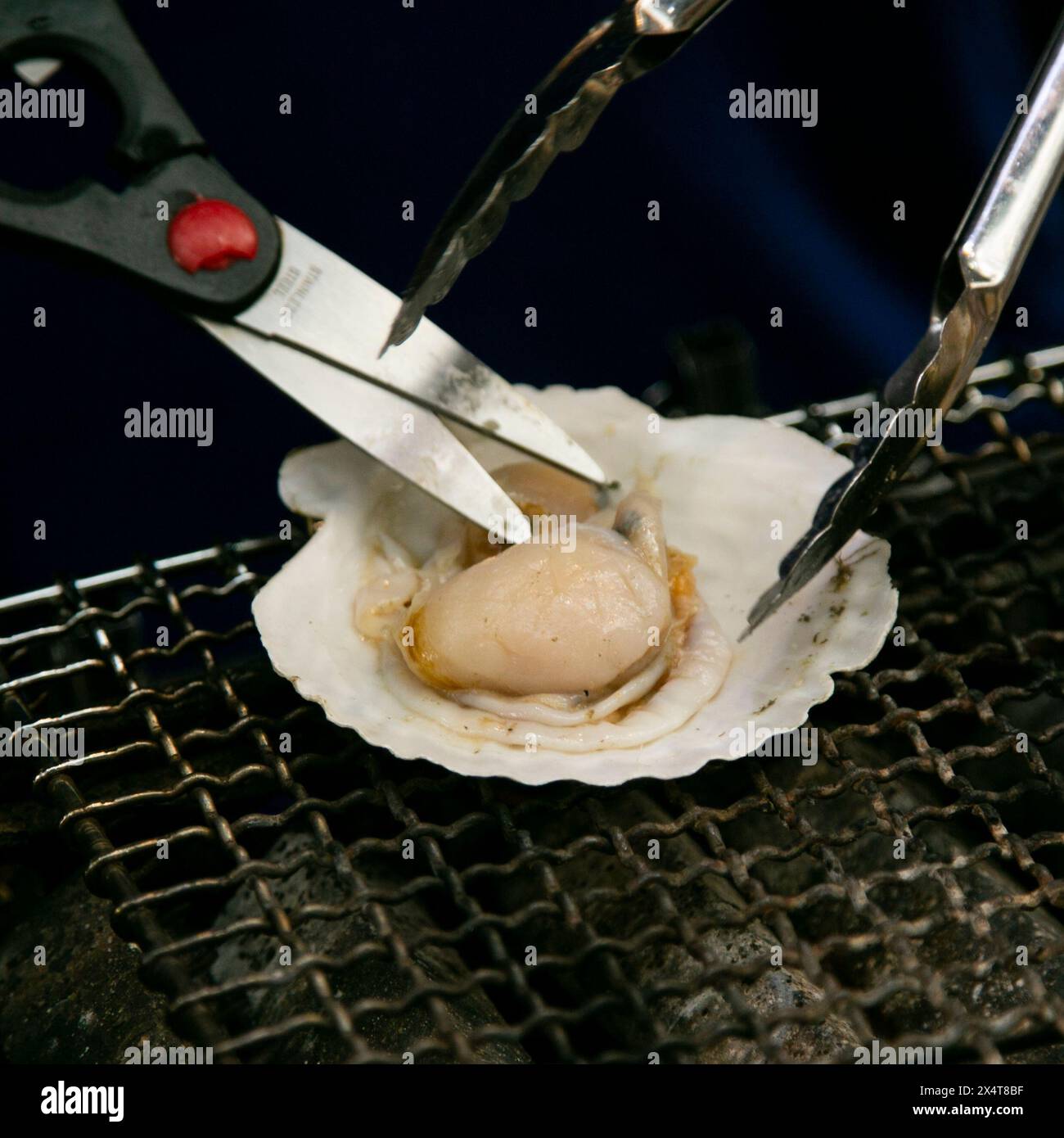 Seafood shell and fish cooked on a grill at the Osaka fish market in ...