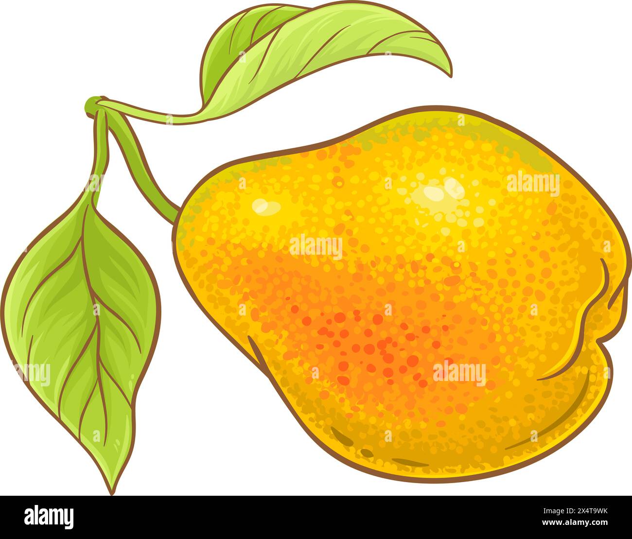 Pear Fruit Colored Detailed Illustration Stock Vector Image & Art - Alamy
